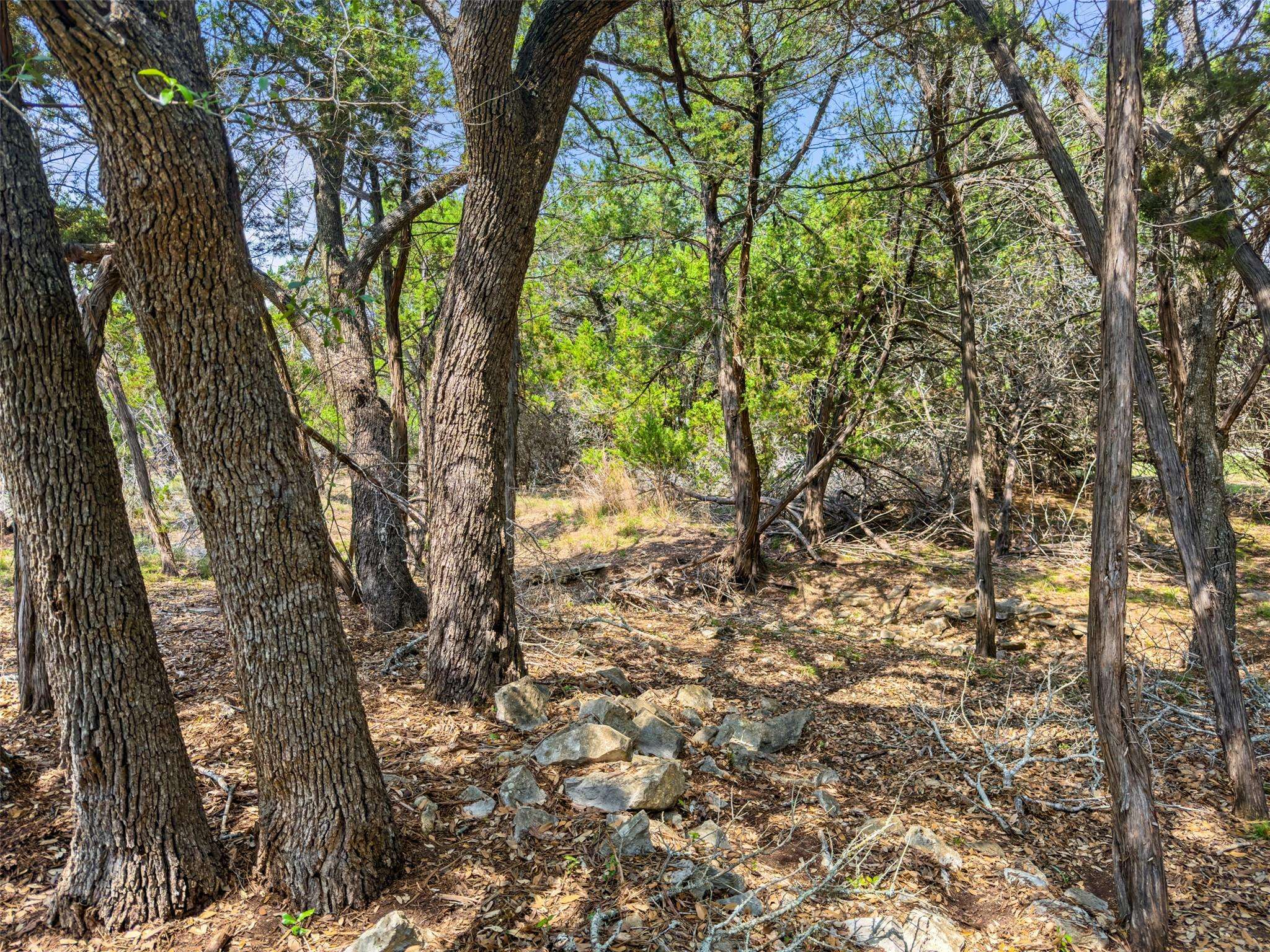 369 Onion Creek LN, Blanco, TX 78606
