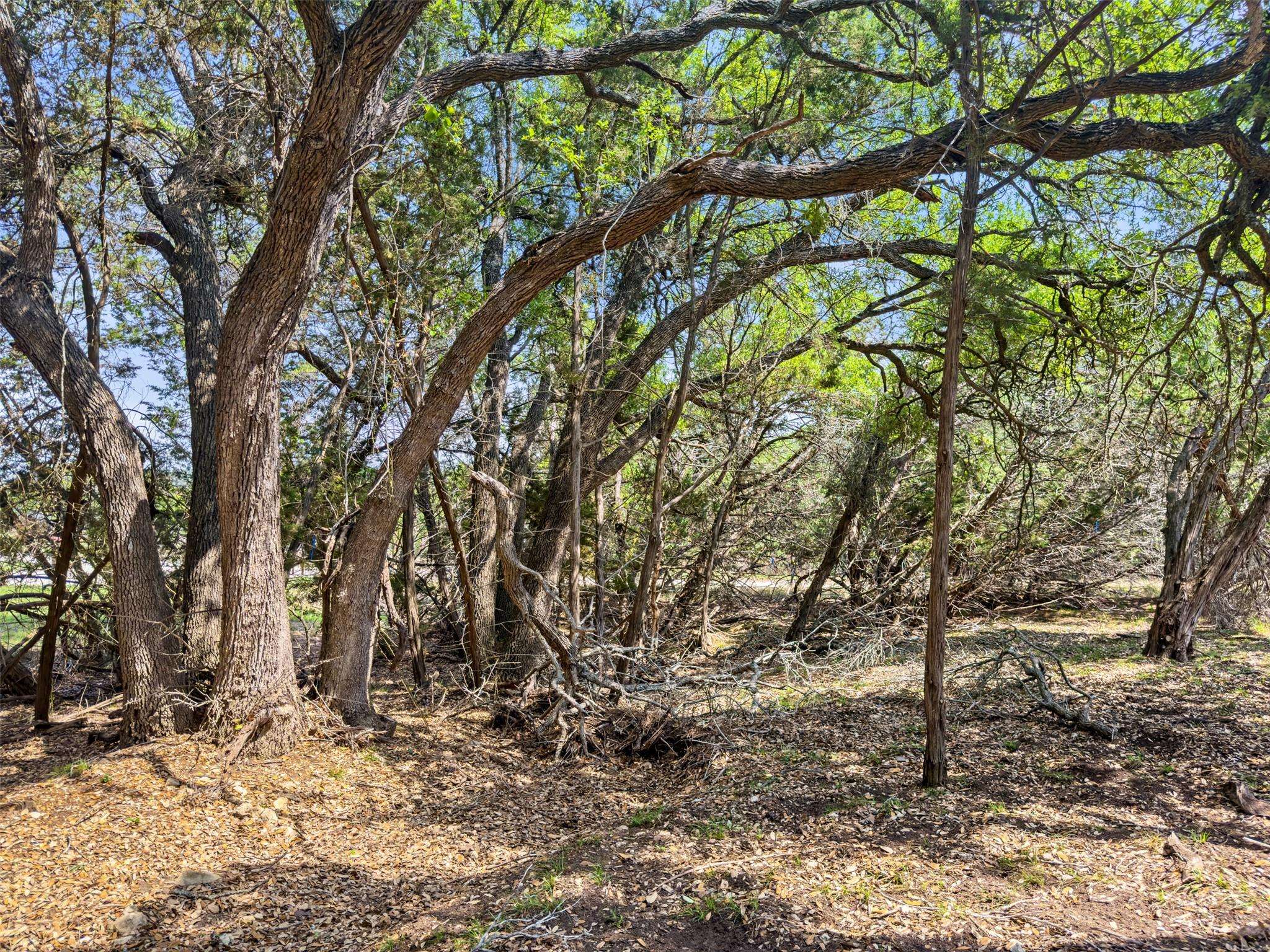 369 Onion Creek LN, Blanco, TX 78606