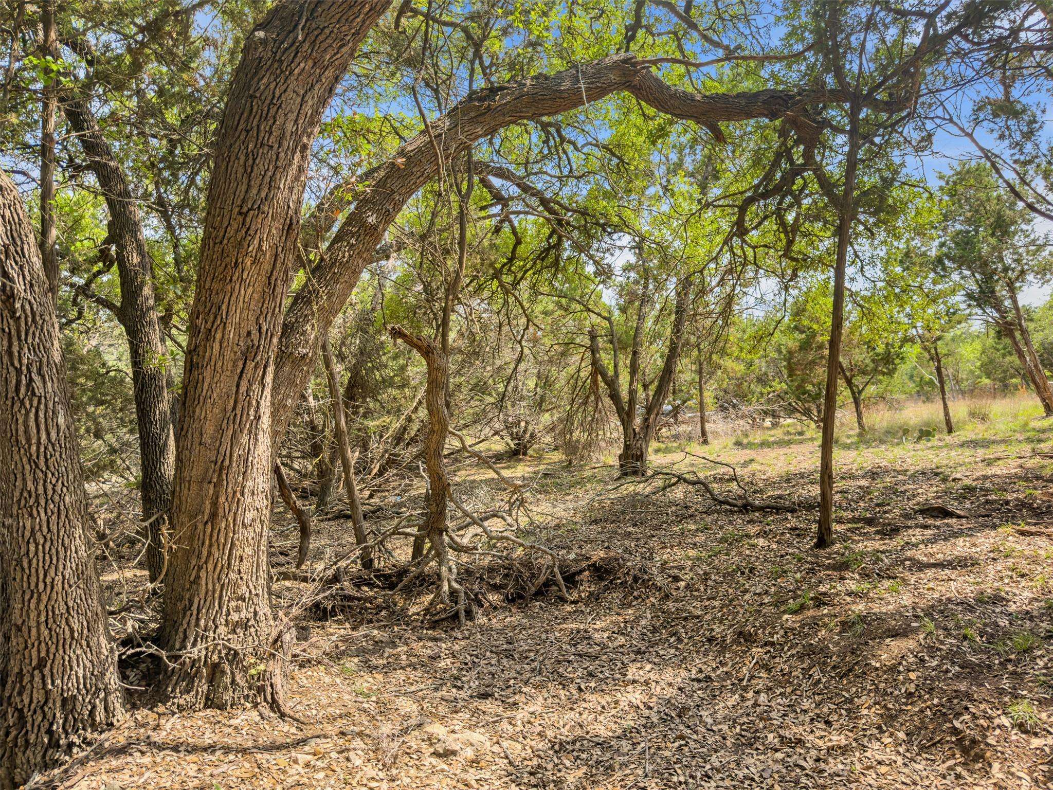 369 Onion Creek LN, Blanco, TX 78606