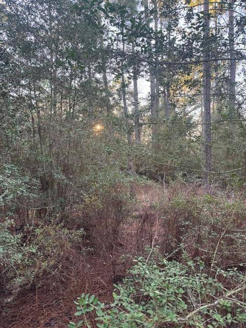 103 Lake Point WAY, Bastrop, TX 78602