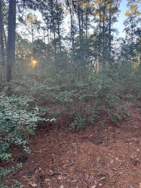 103 Lake Point WAY, Bastrop, TX 78602
