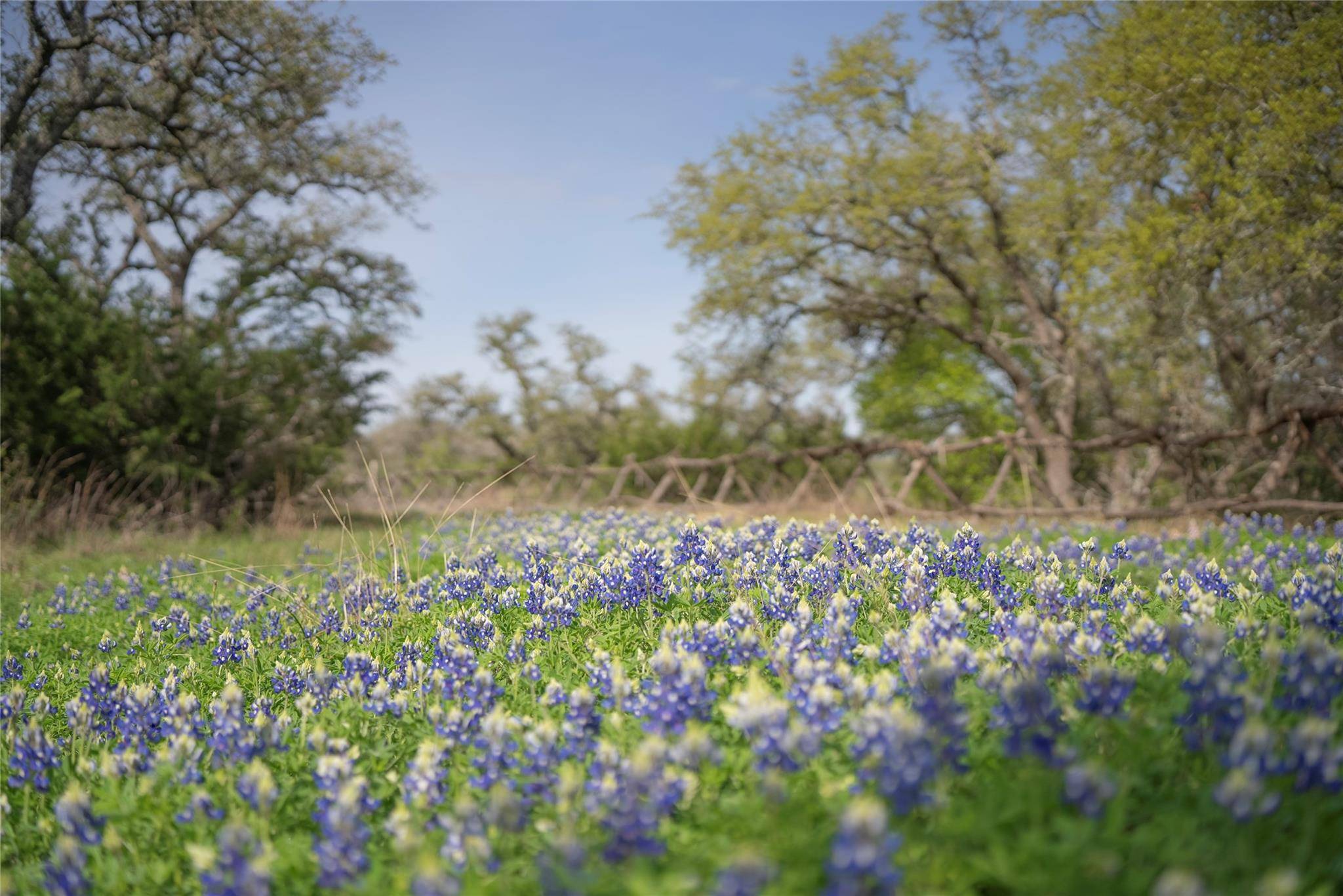 TBD Bell Springs RD, Dripping Springs, TX 78620