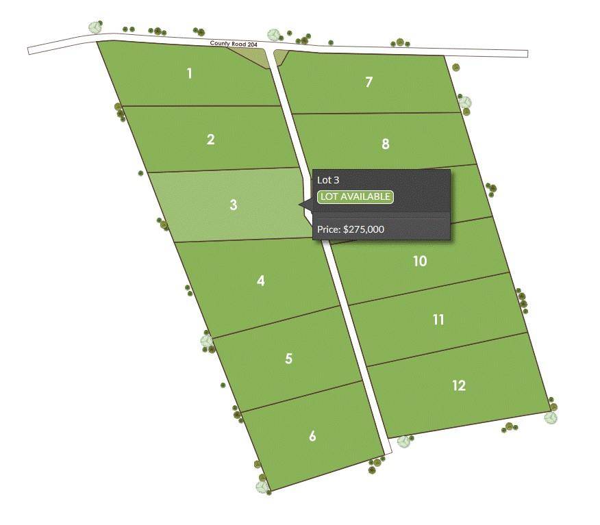 1115 Tract 3 - County Road 204, Burnet, TX 78611
