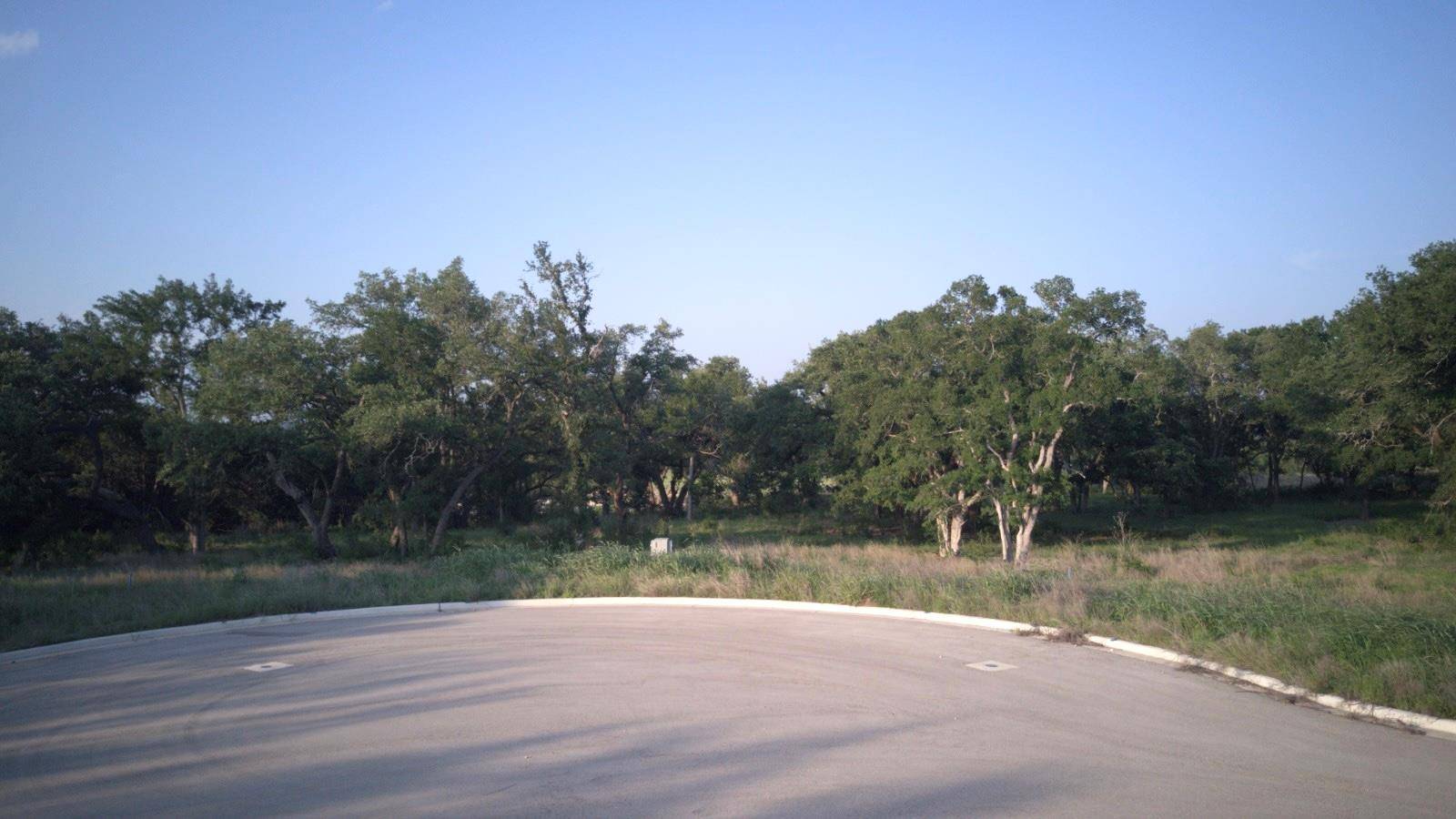 115 W Rio Ranch RD, Liberty Hill, TX 78642