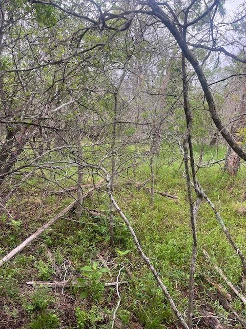 Lot 628 Hilea CT, Bastrop, TX 78602
