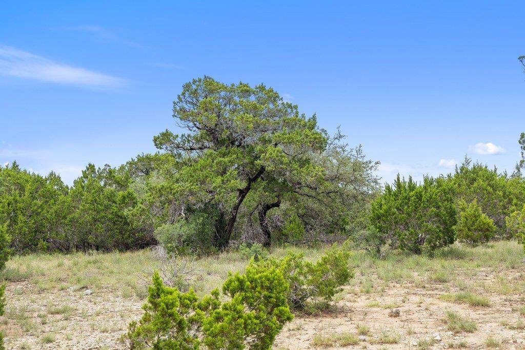 19401 Tessa Heights LN, Spicewood, TX 78669