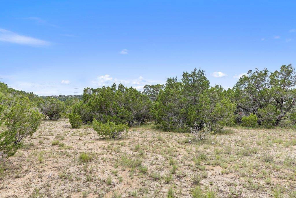 19401 Tessa Heights LN, Spicewood, TX 78669