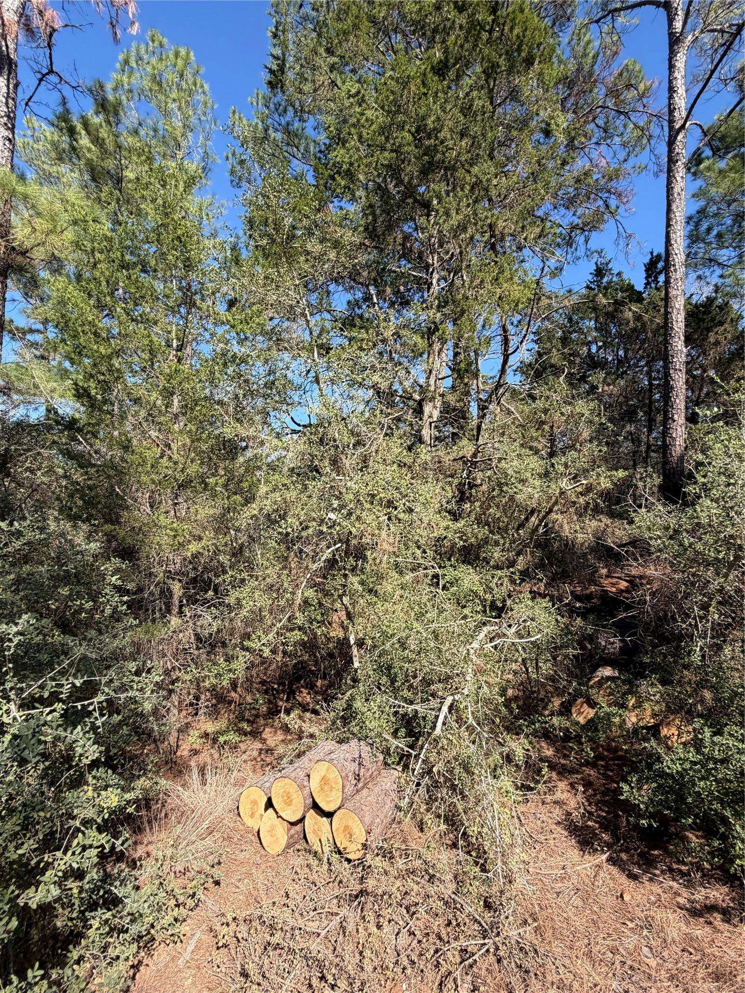 Lot 320 Keneka LN, Bastrop, TX 78602