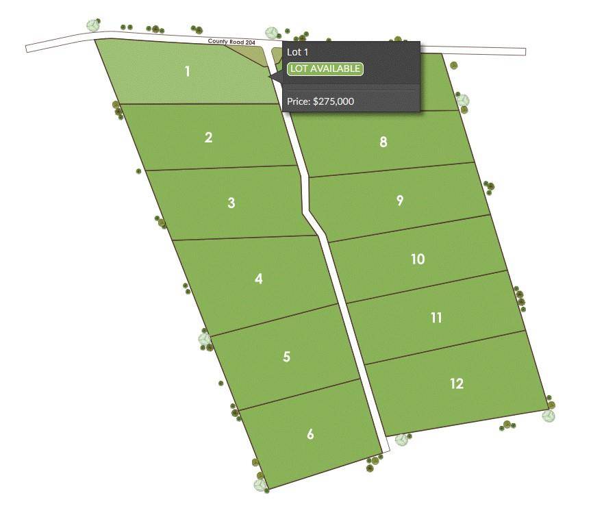 1115 Tract - 1 County Road 204, Burnet, TX 78611