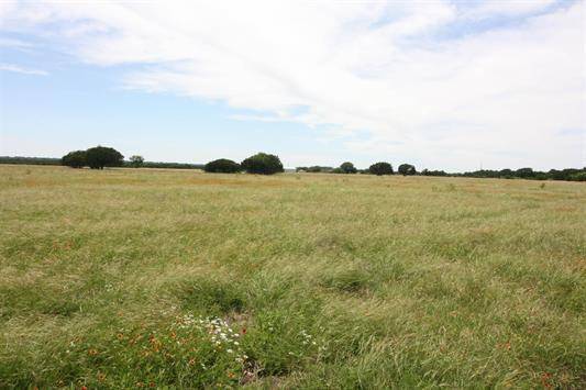 1115 Tract - 1 County Road 204, Burnet, TX 78611