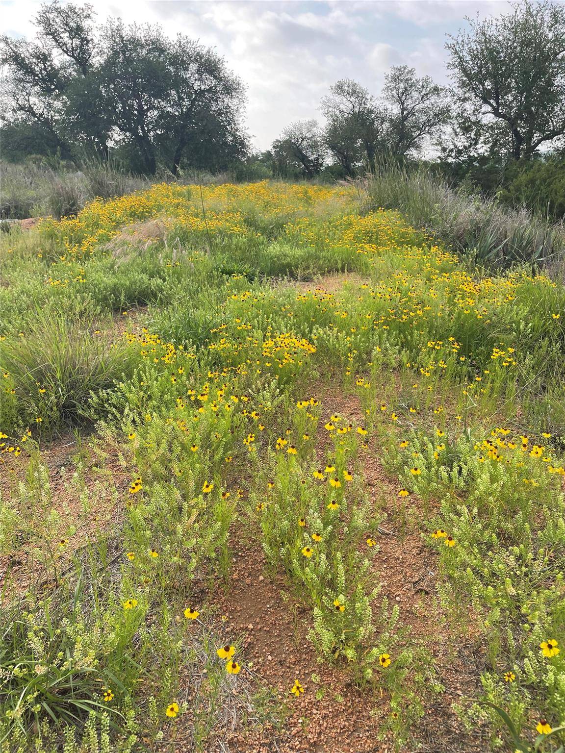 LOT 48 Inksview LN, Kingsland, TX 78639