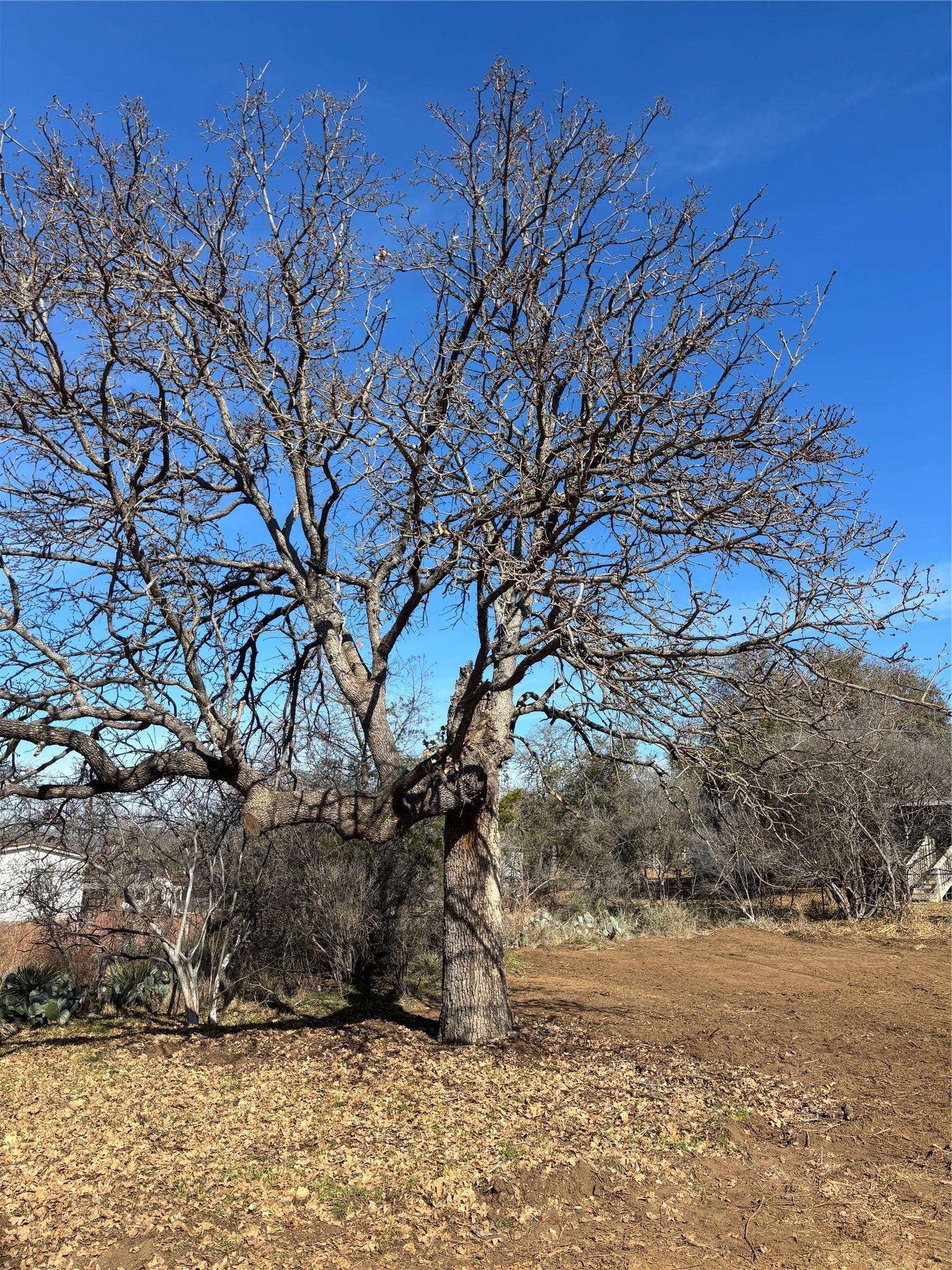 0 Castleshoals DR, Granite Shoals, TX 78654