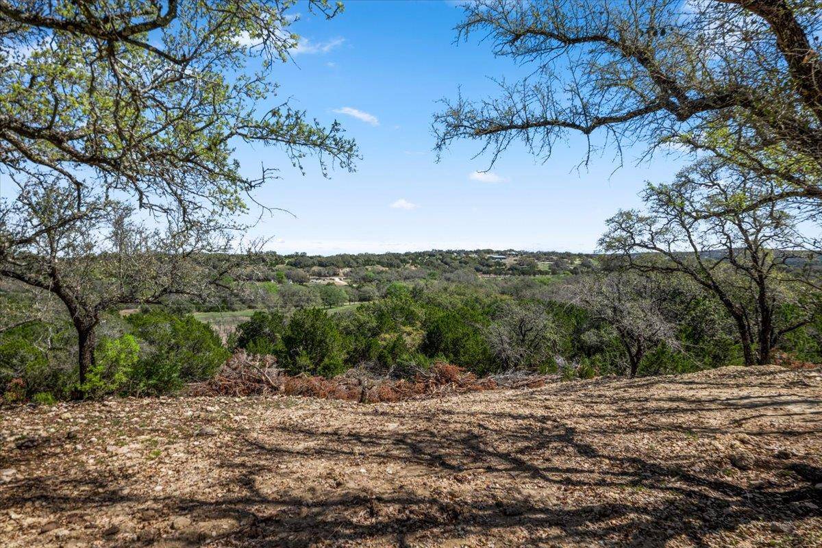 25723 Hamilton Pool RD, Round Mountain, TX 78654