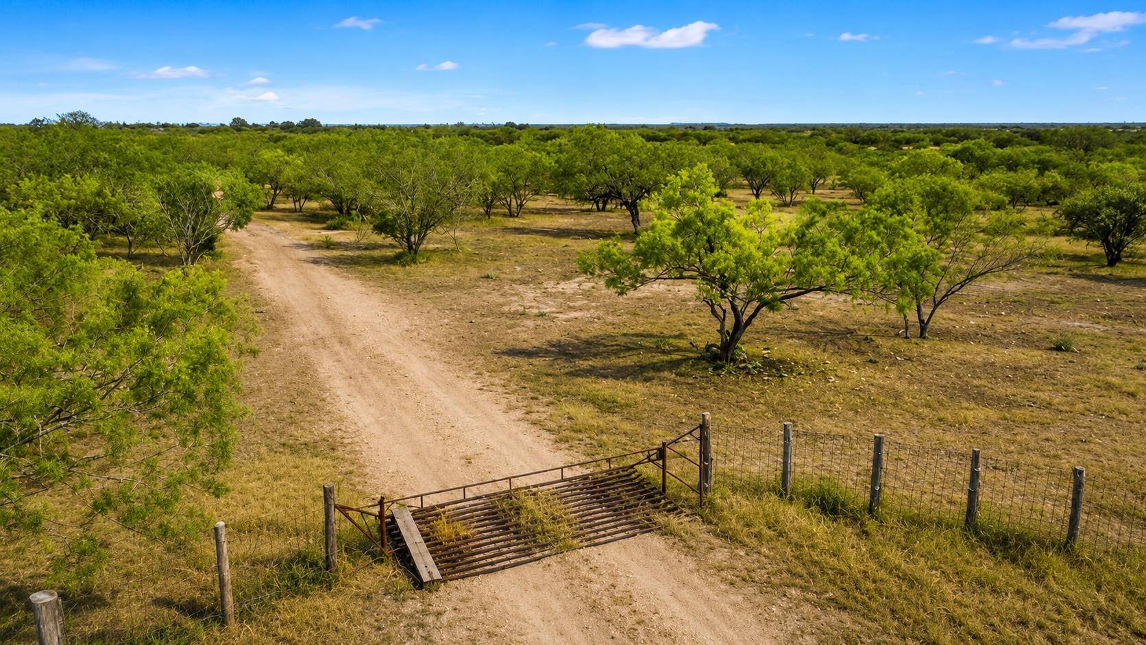 5 CR 171, Nixon, TX 78140