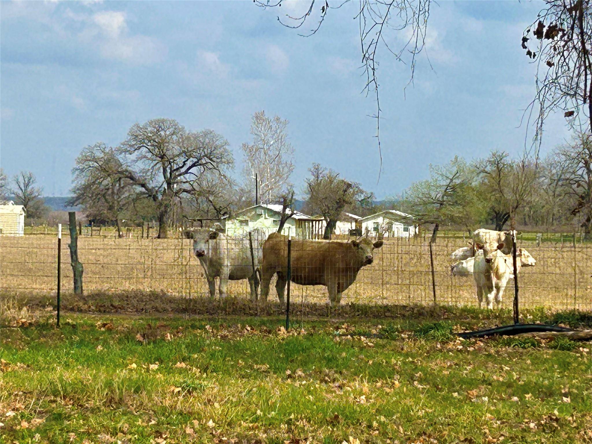 2902 Caldwell LN #A, Del Valle, TX 78617
