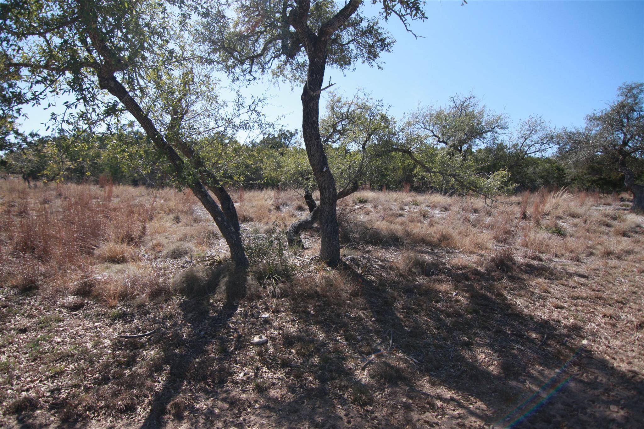 150 Patricks WAY, Dripping Springs, TX 78620