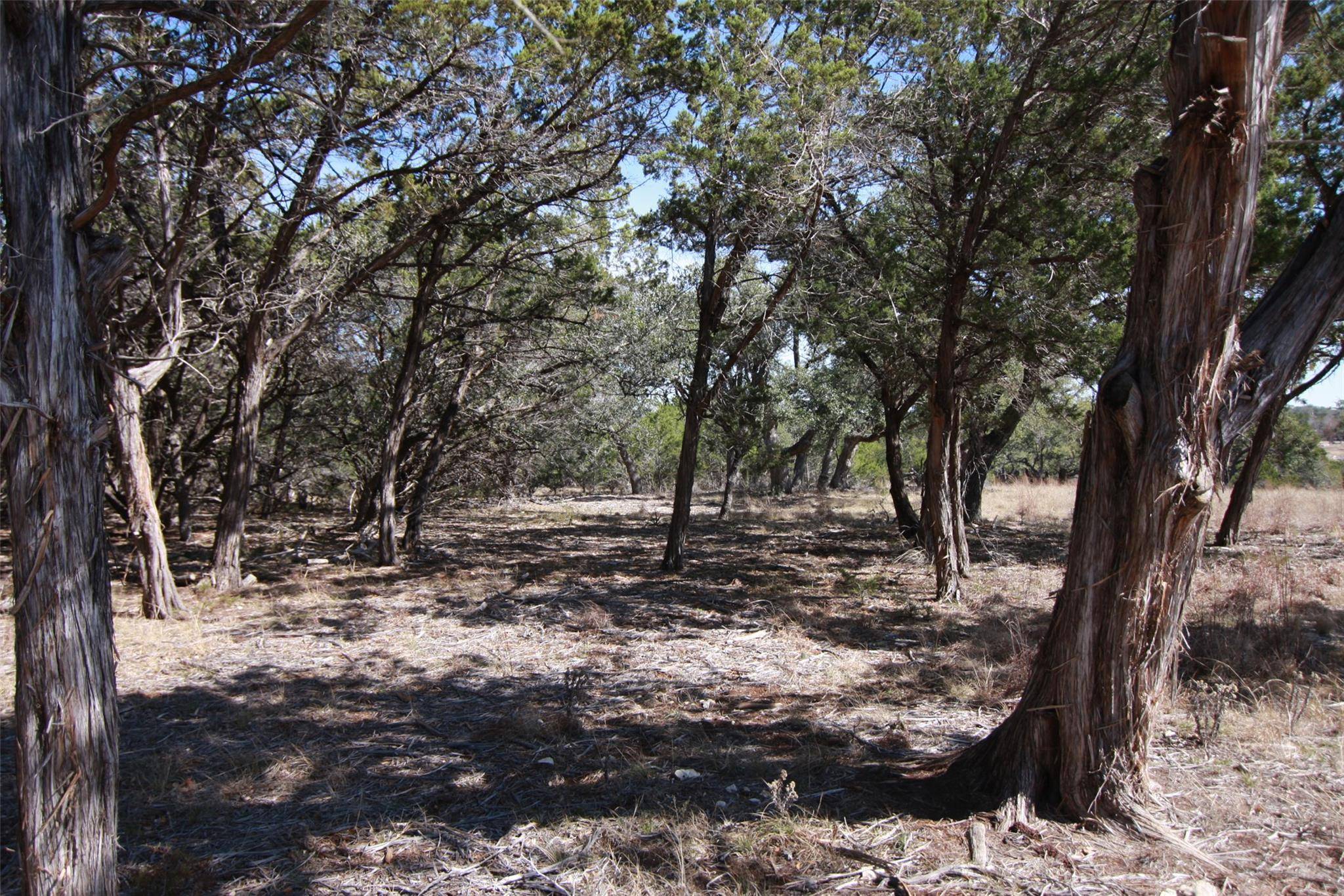150 Patricks WAY, Dripping Springs, TX 78620