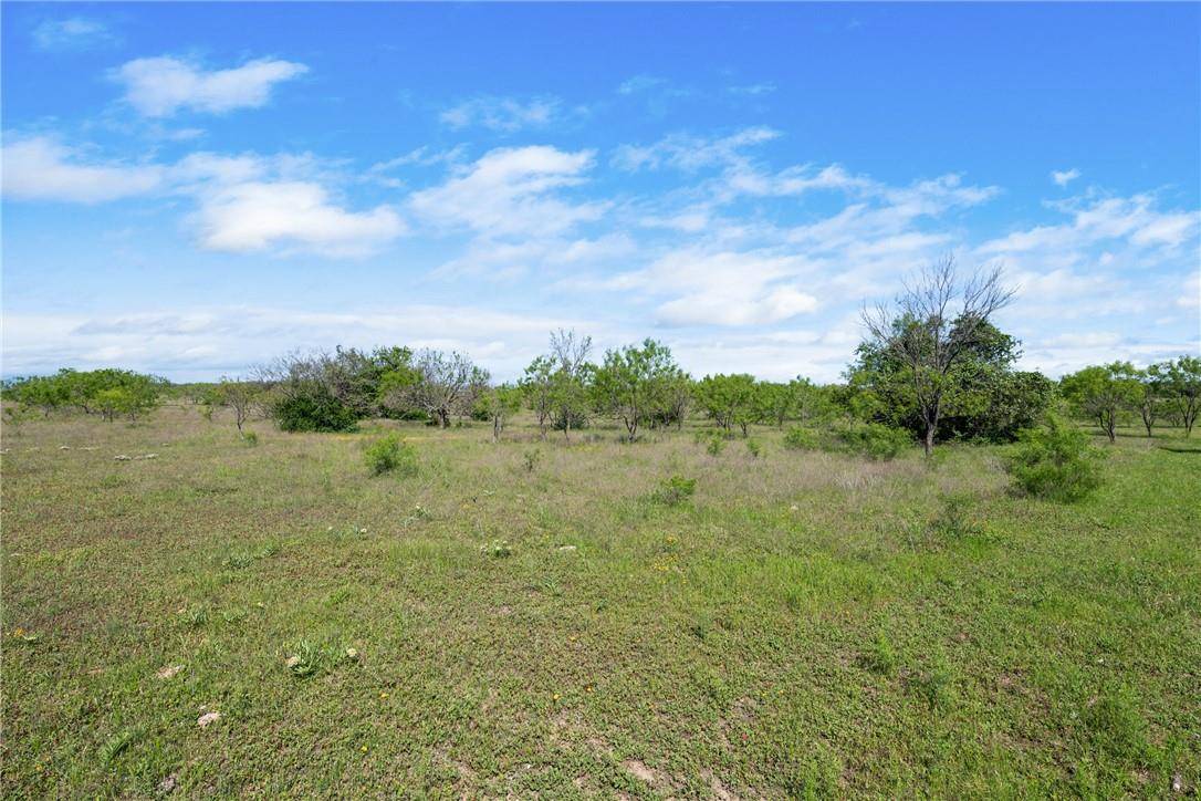 TBD County Road 236, Liberty Hill, TX 78605