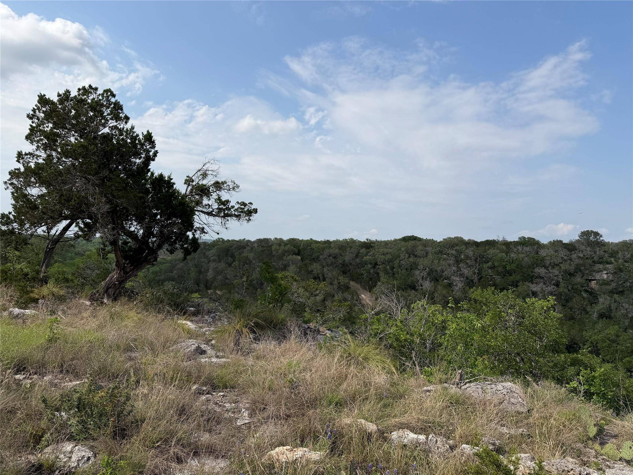8219 Hammetts Crossing XING, Dripping Springs, TX 78663