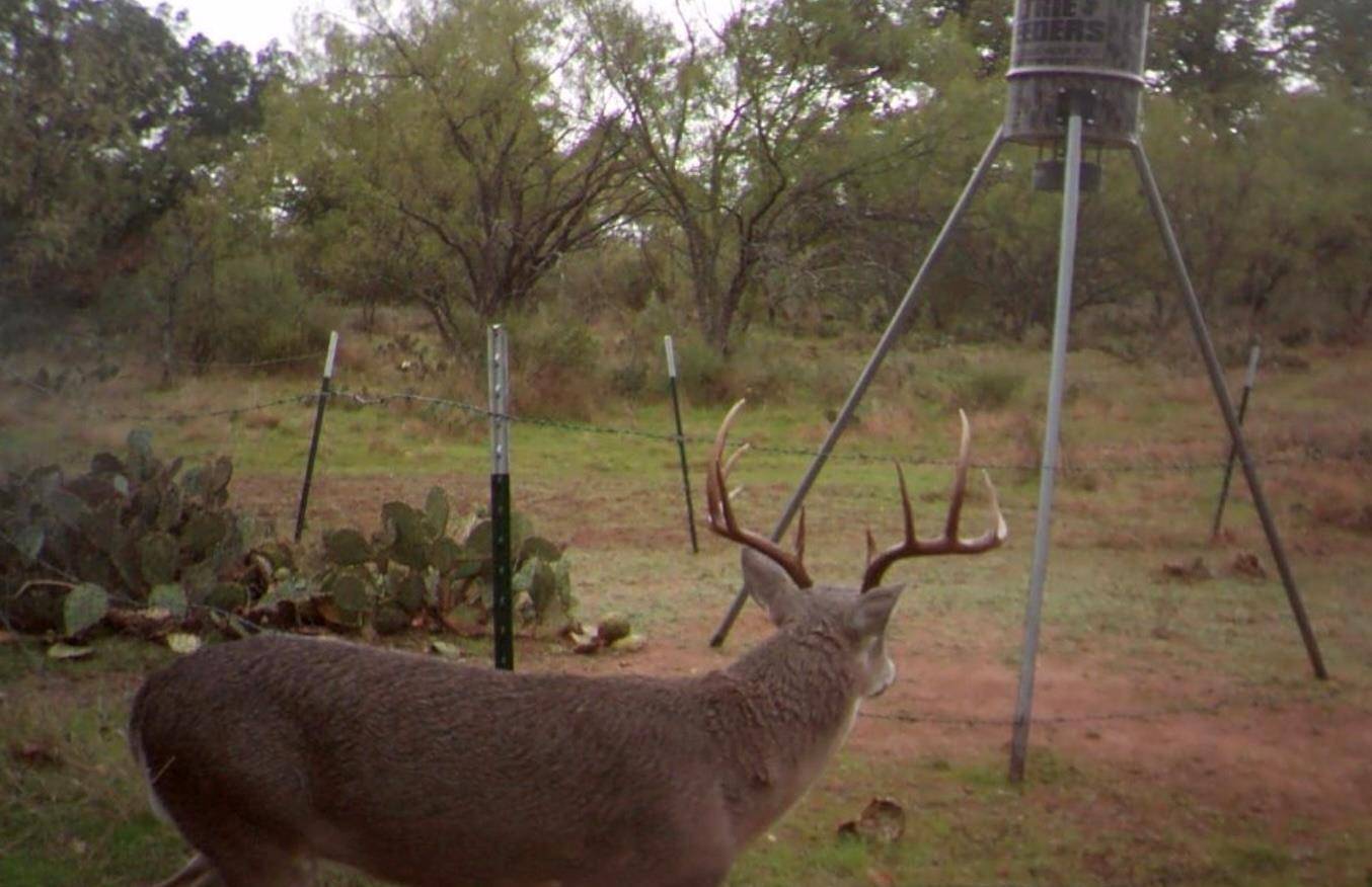0 RR 152, Castell, TX 78643