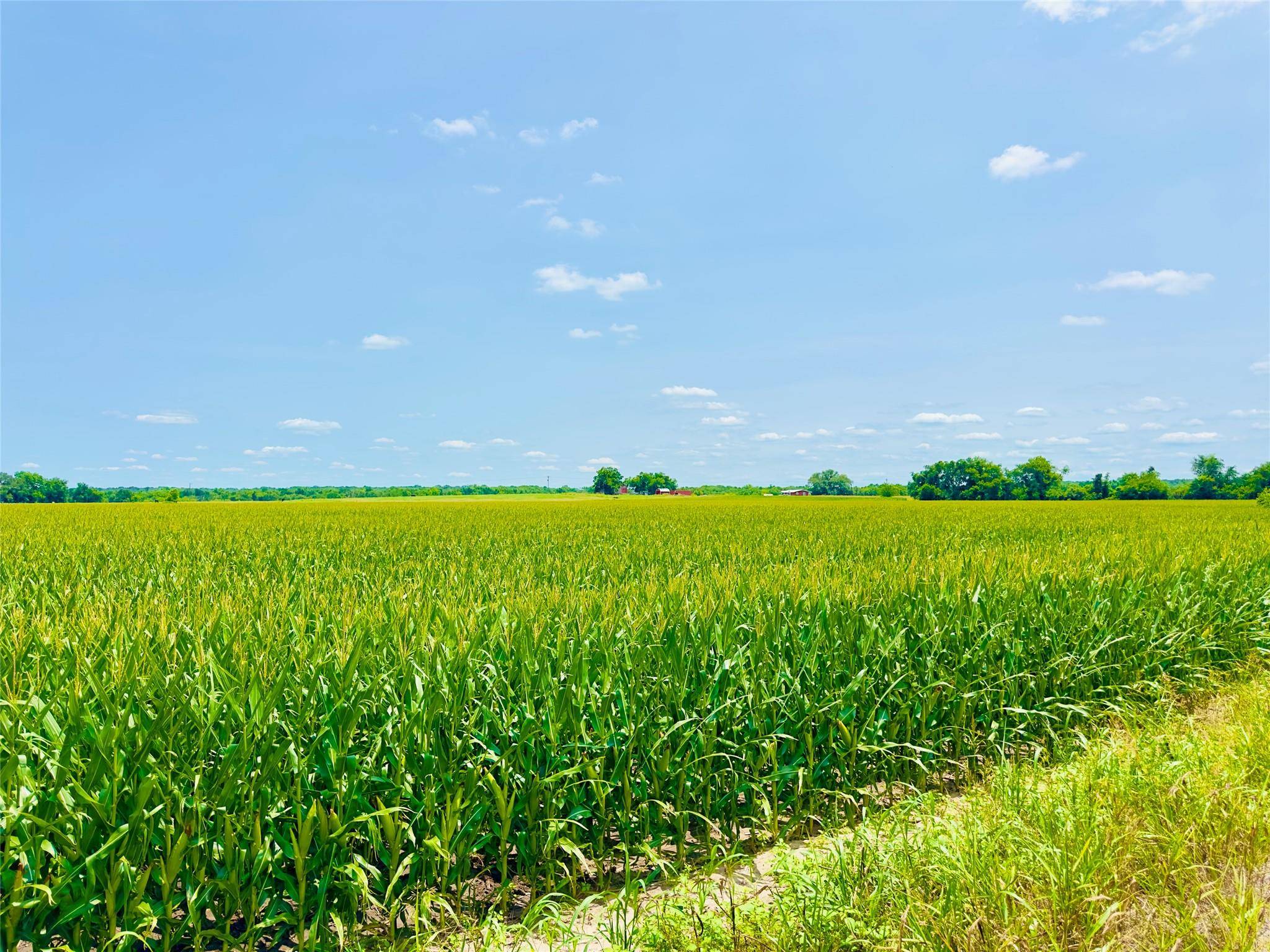 TBD2 CR 406, Buckholts, TX 76518