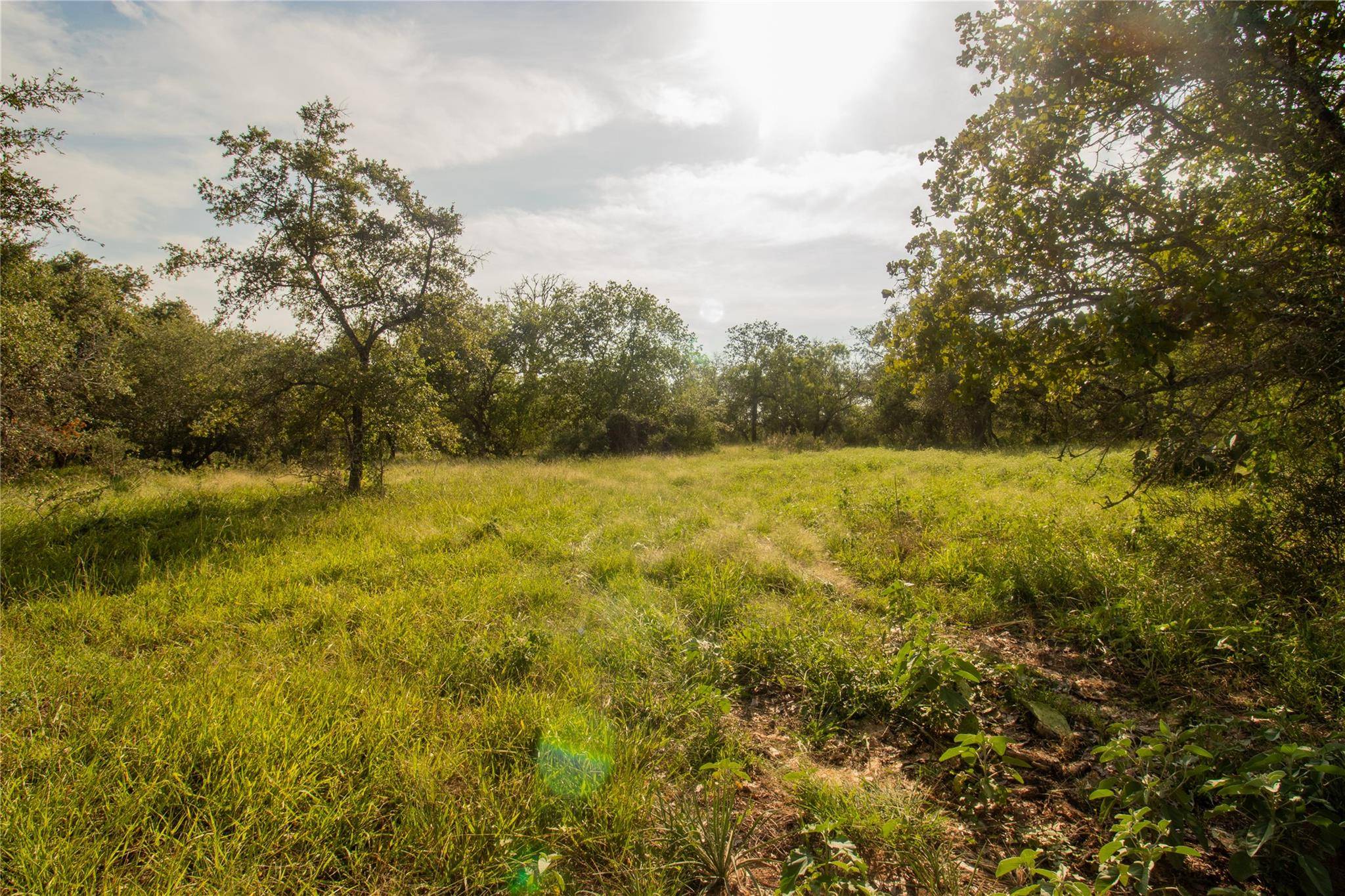 6562 Cross RD, Seguin, TX 78155