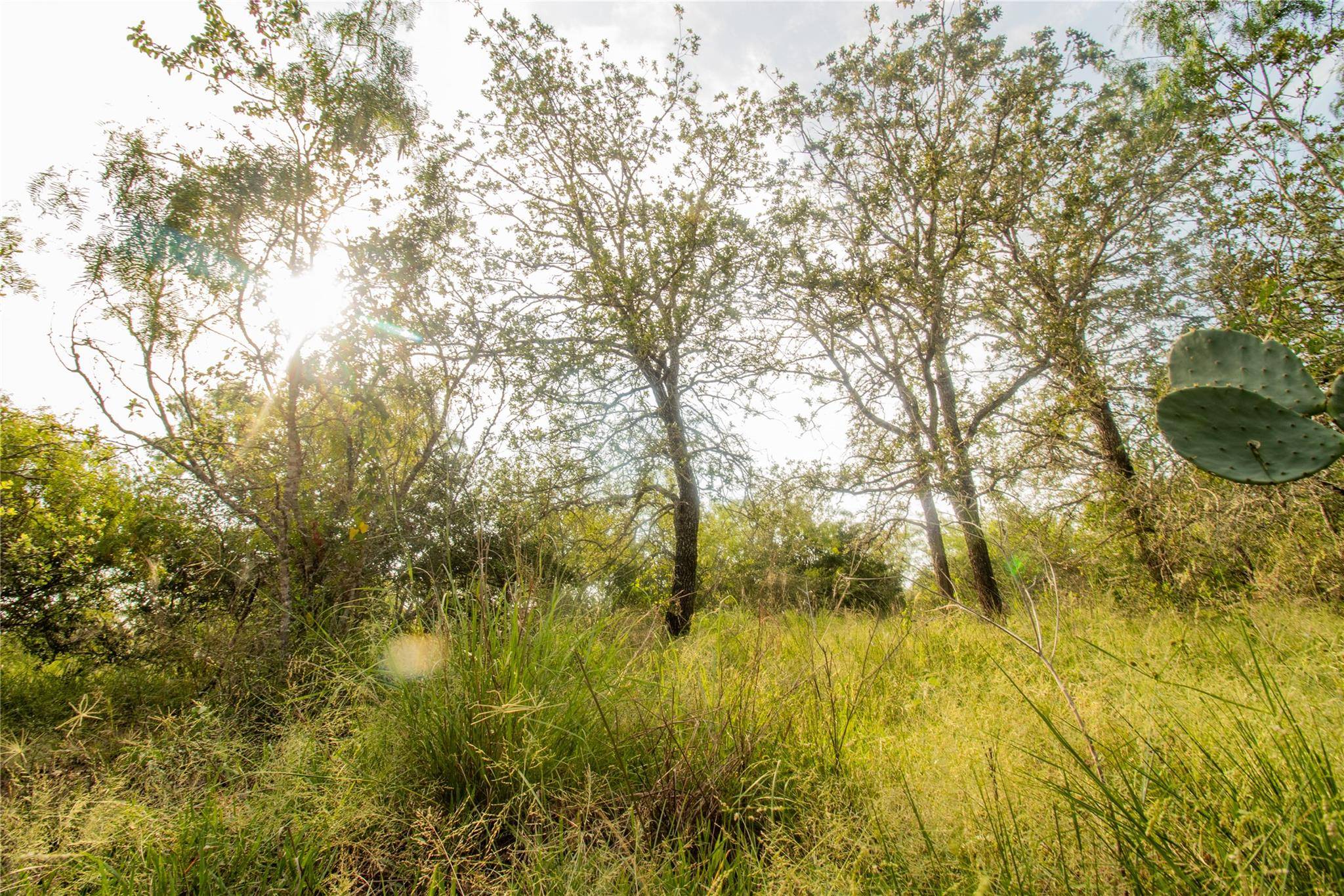 6562 Cross RD, Seguin, TX 78155