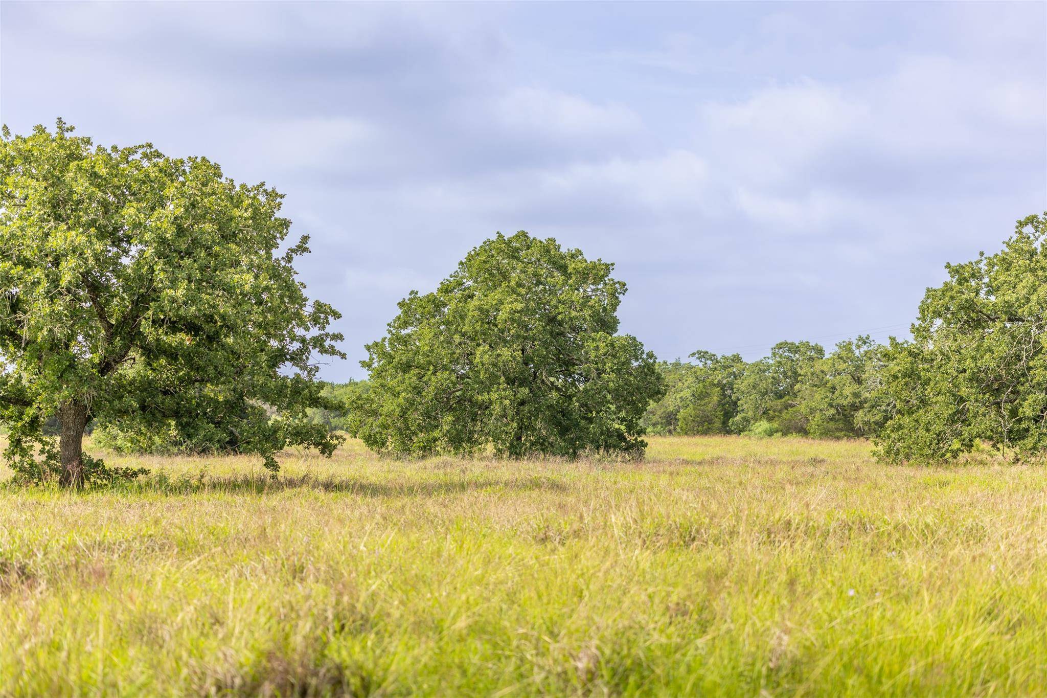 TBD US Highway 77 S, Giddings, TX 78942