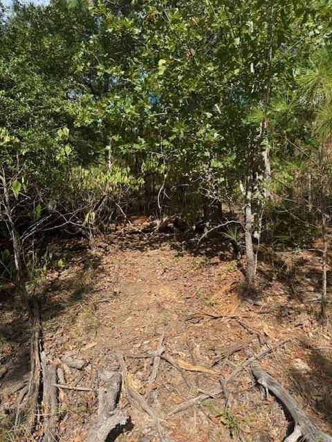 Lot 1339 Tahitian DR, Bastrop, TX 78602
