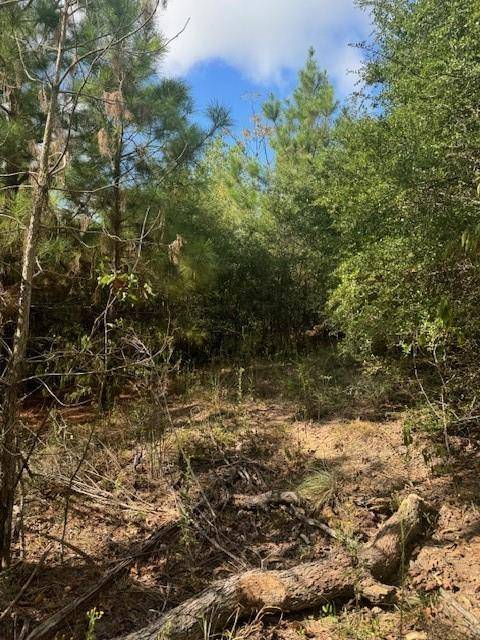 Lot 1339 Tahitian DR, Bastrop, TX 78602