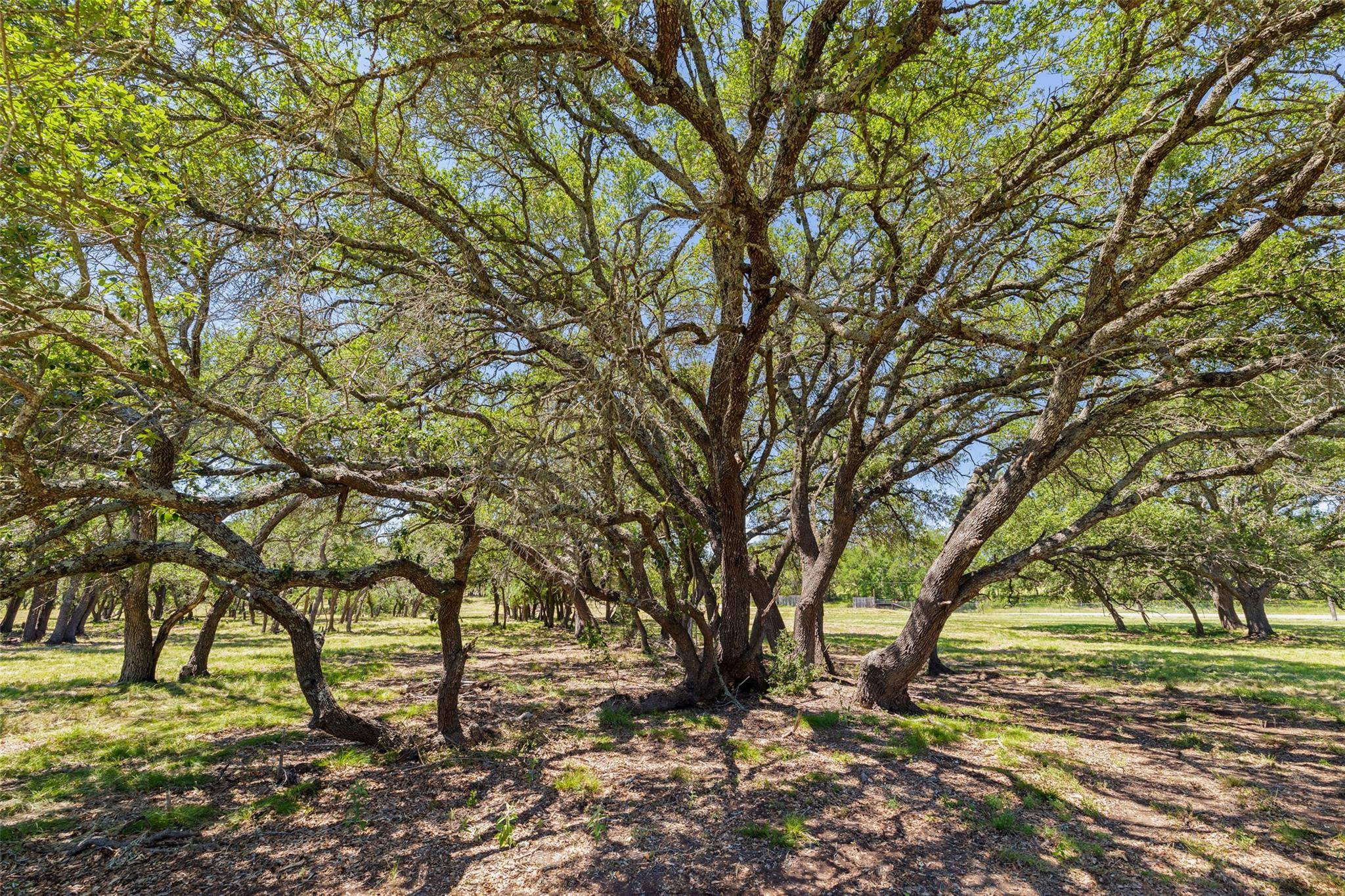 937 Flat Creek RD, Johnson City, TX 78636