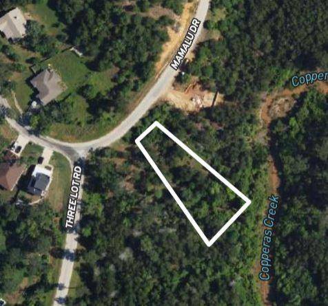 TBD - Lot 868 Mamalu DR, Bastrop, TX 78602