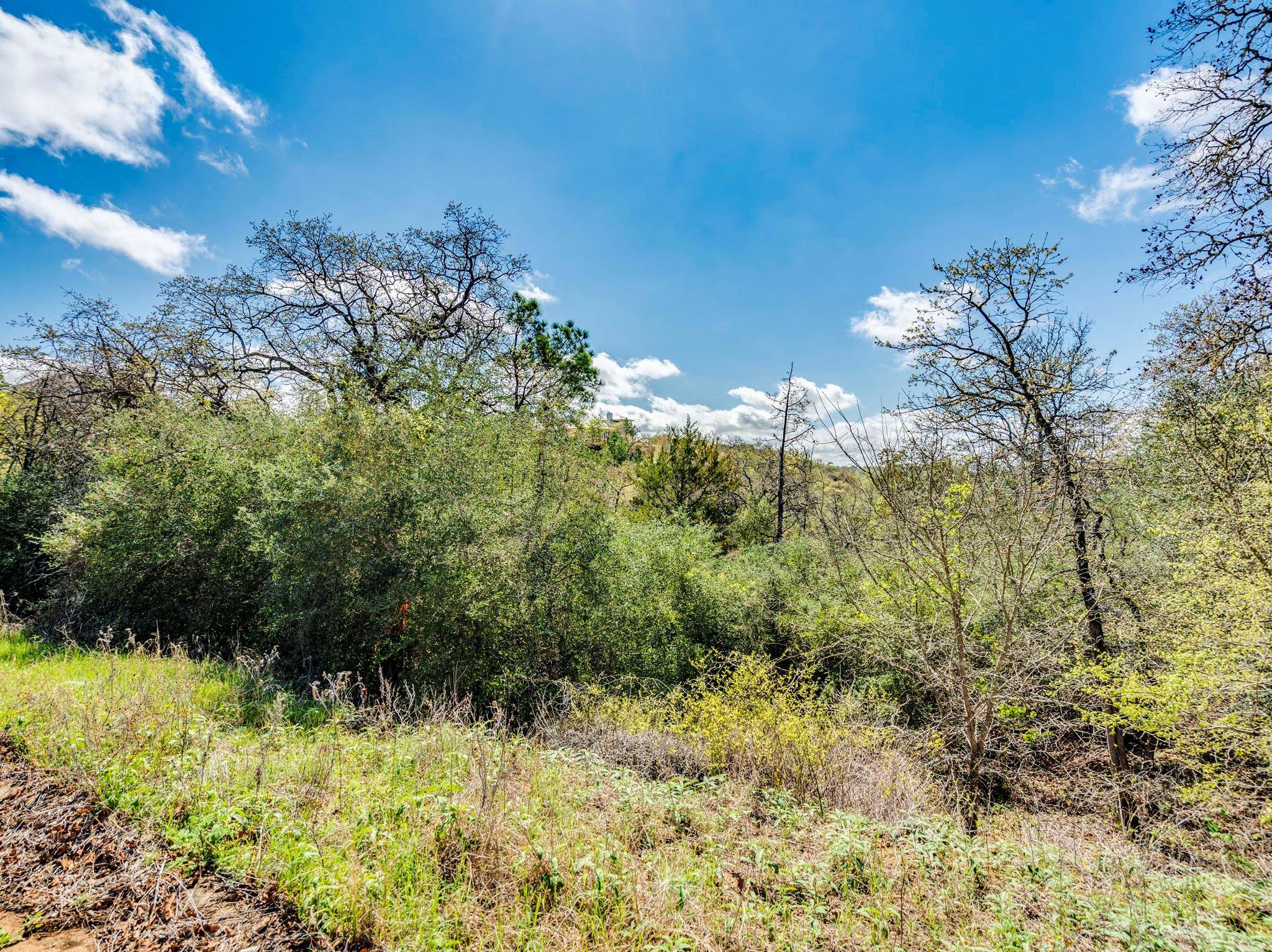 119 & 123 McCarthy DR, Bastrop, TX 78602