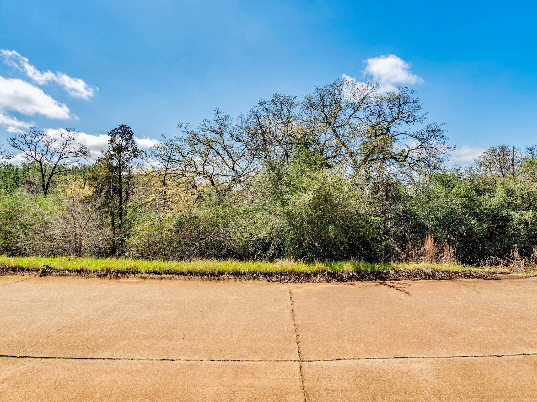 119 & 123 McCarthy DR, Bastrop, TX 78602