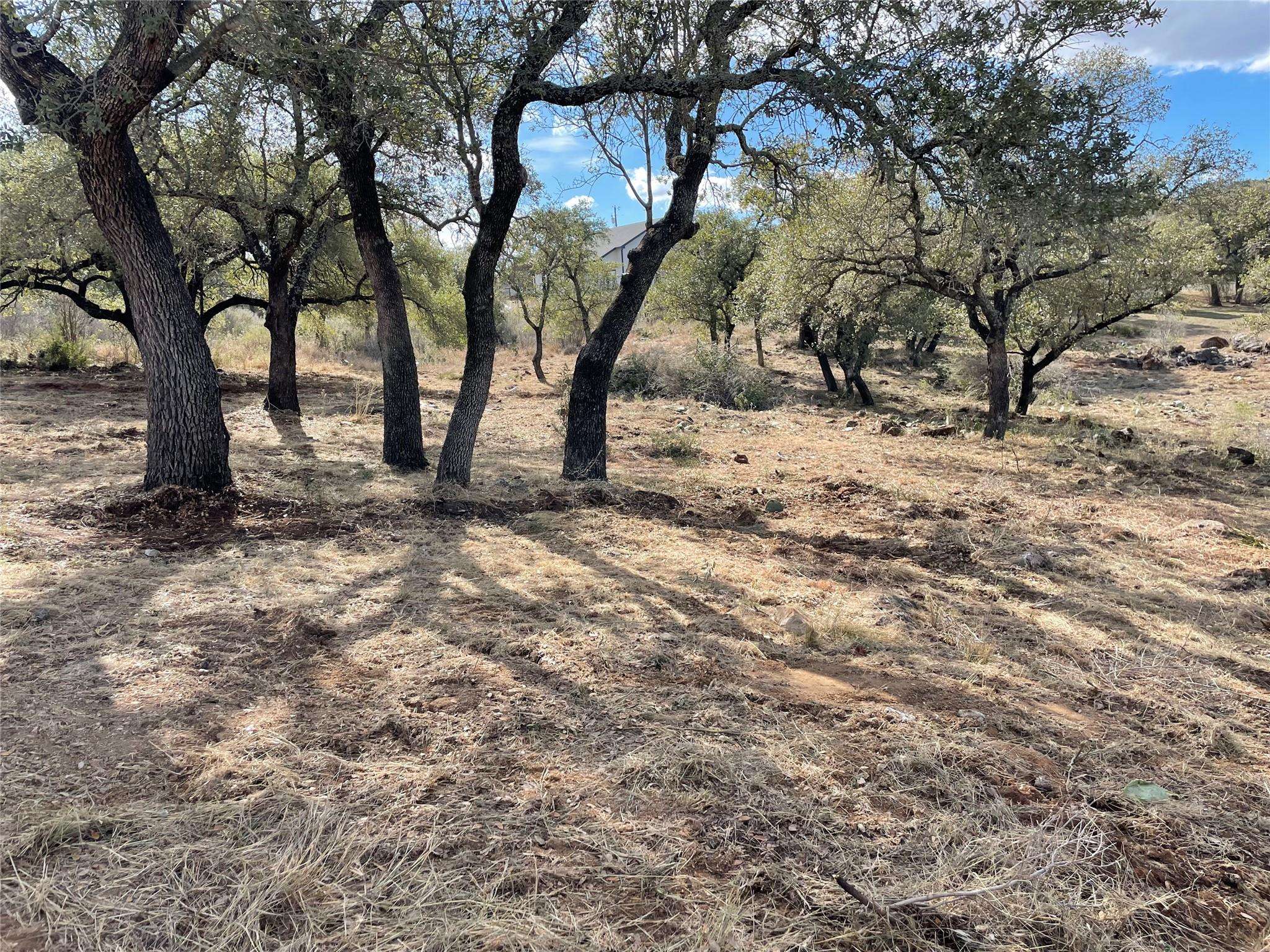Lot 33 & Lot 34 Prince Peak ST, Cottonwood Shores, TX 78657