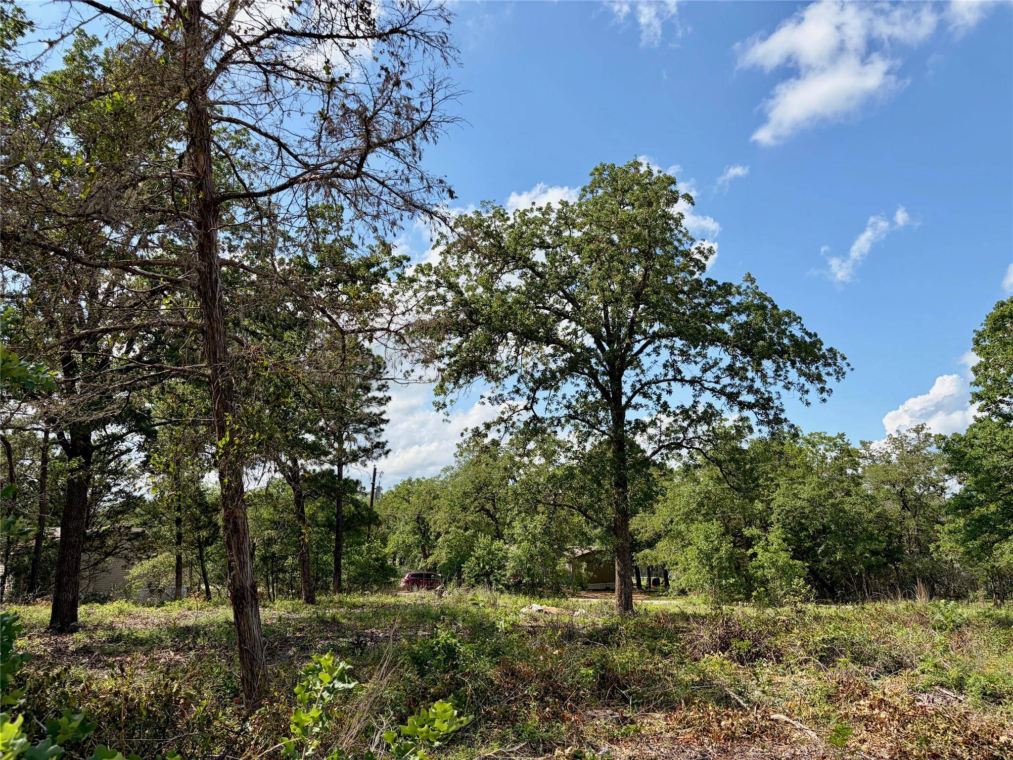 Lots-97/98 Shawnee DR, Smithville, TX 78957