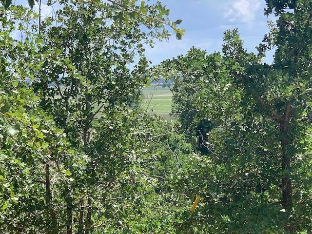 107 & 113 McCarthy DR, Bastrop, TX 78602