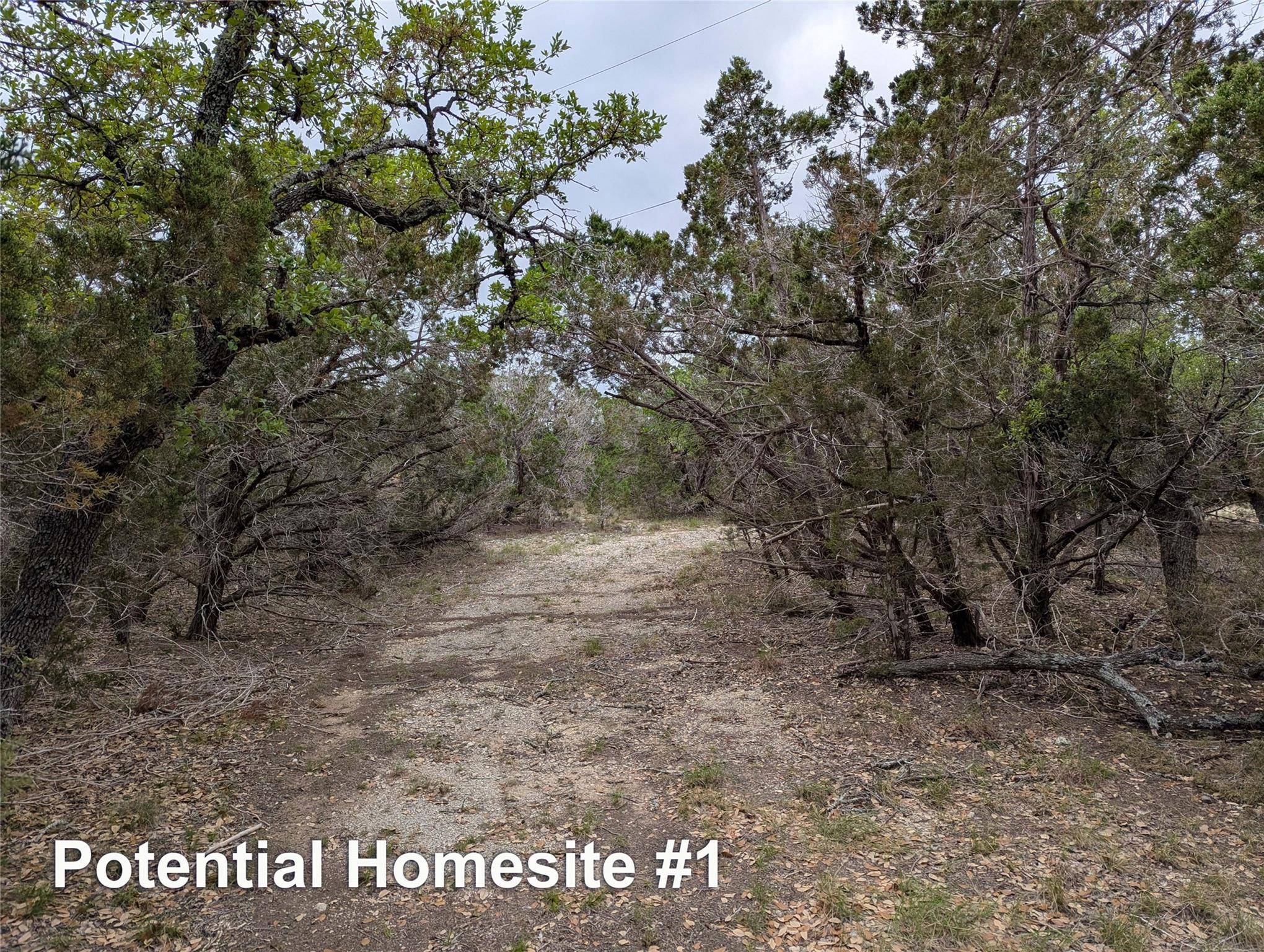 701 Plant Lady LN, Dripping Springs, TX 78620