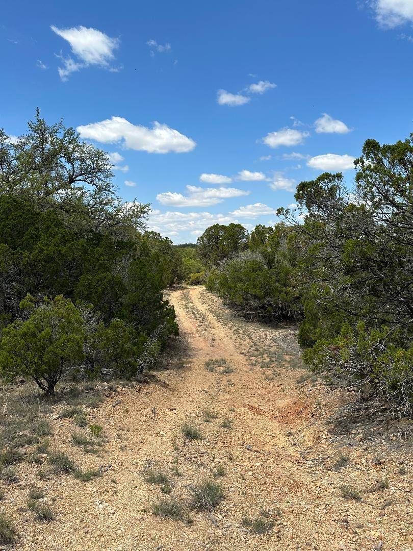 TBD County Road 529, Mullin, TX 76864
