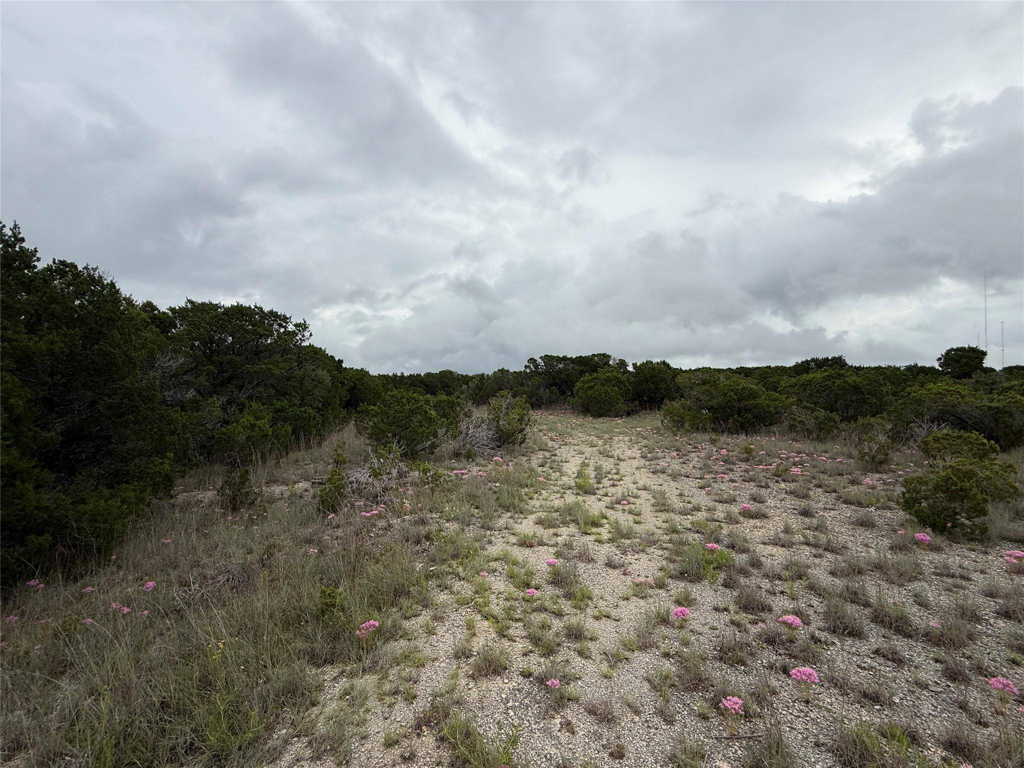 13272 - B Fm-2484, Salado, TX 76571