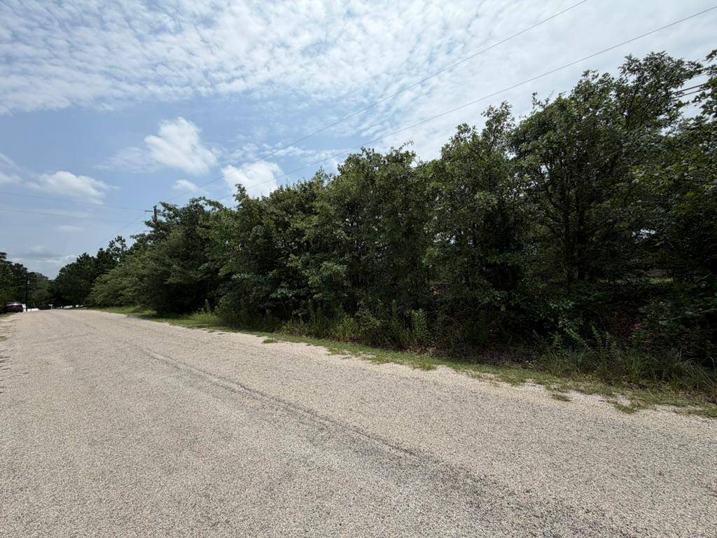 151 S Buckhorn DR, Bastrop, TX 78602
