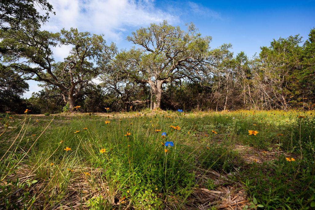 TBD Gatlin Creek RD, Dripping Springs, TX 78620