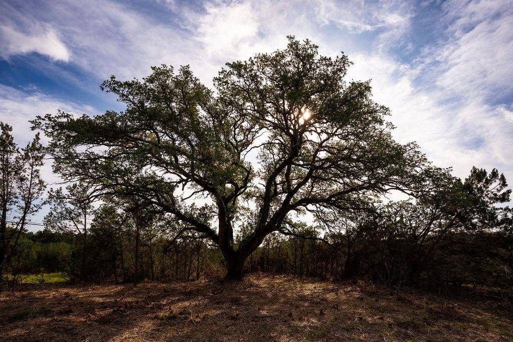 TBD Gatlin Creek RD, Dripping Springs, TX 78620