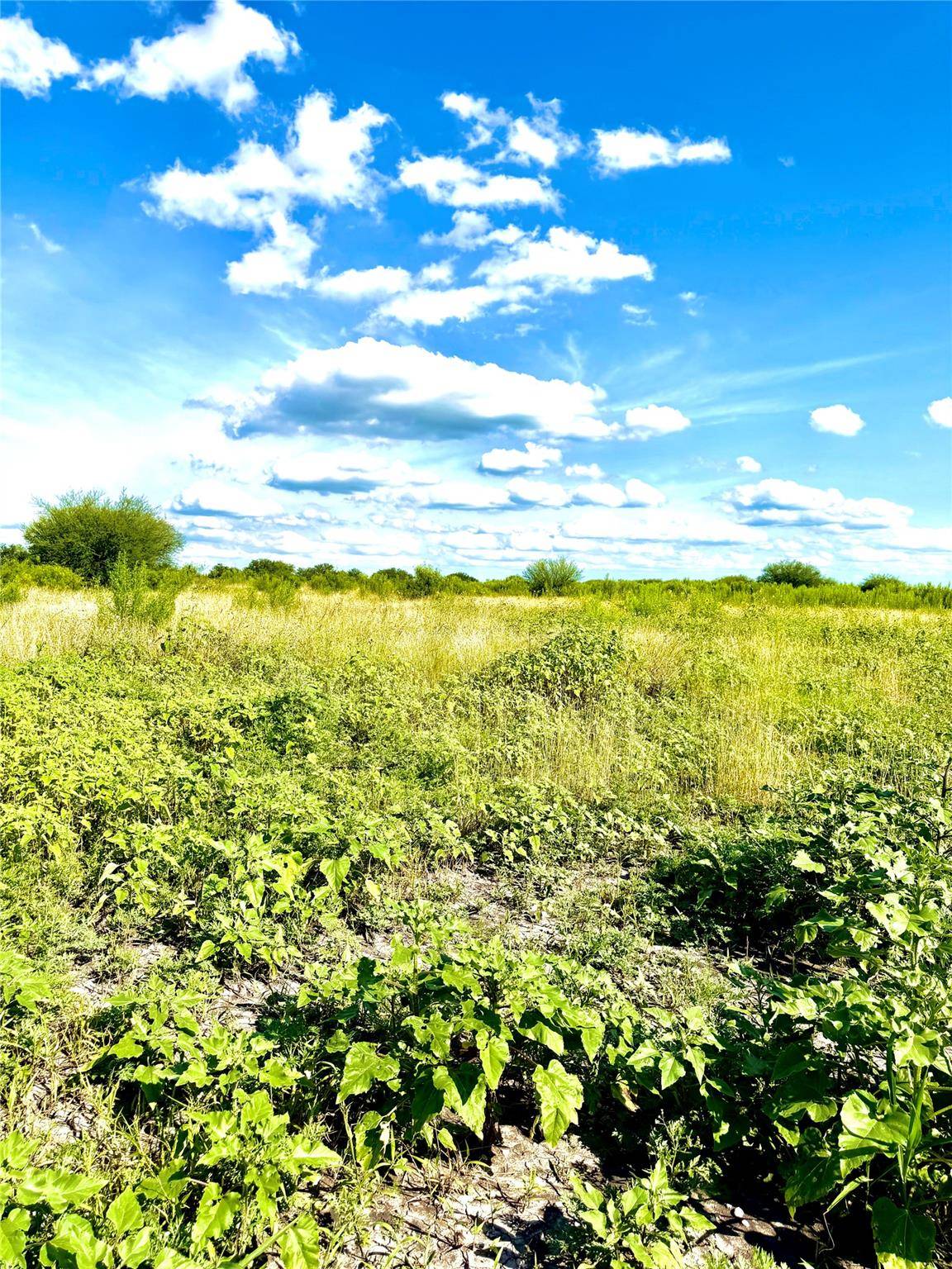 TBD Tract H County Road 512, Hondo, TX 78850