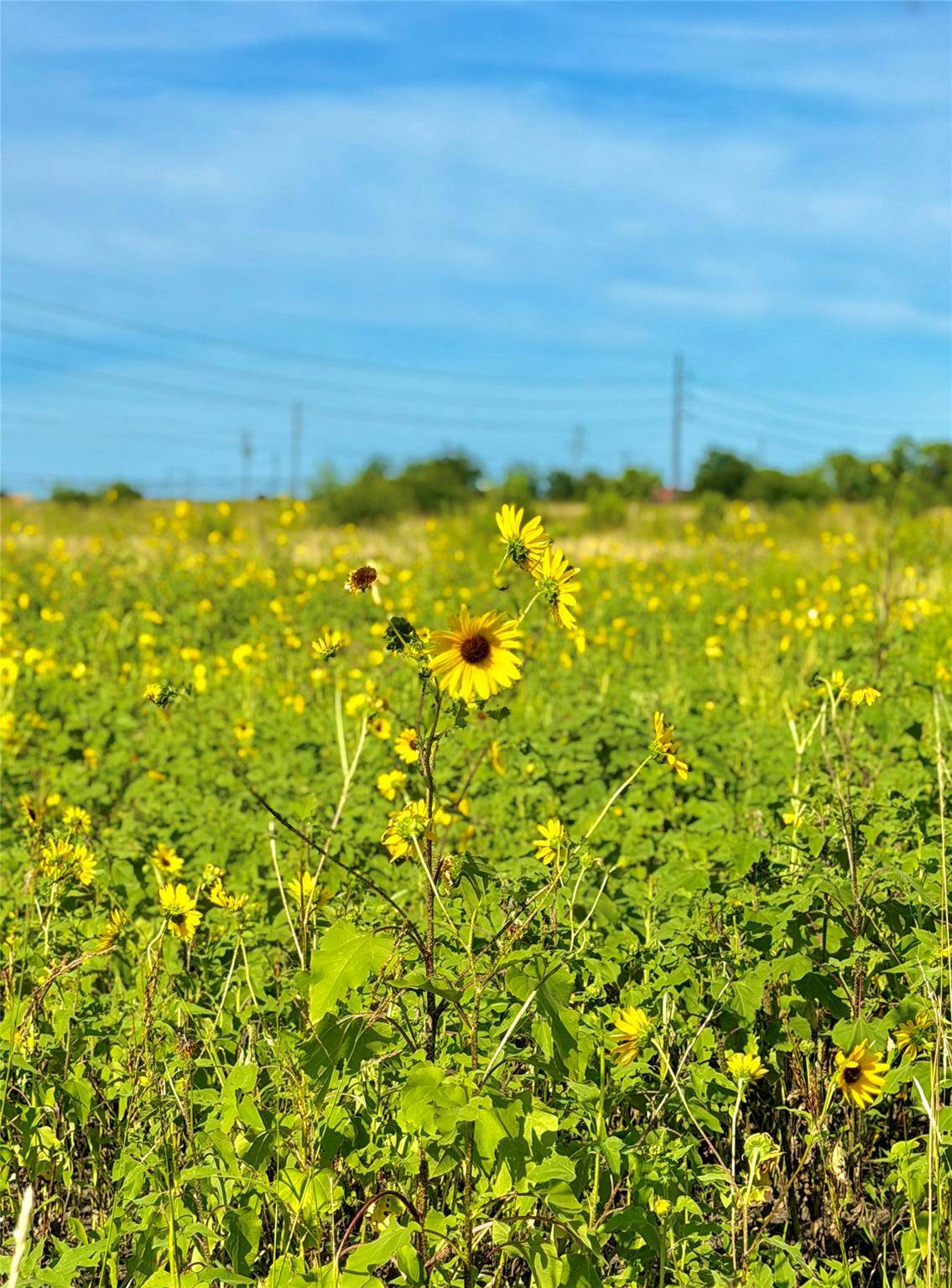 TBD Tract H County Road 512, Hondo, TX 78850