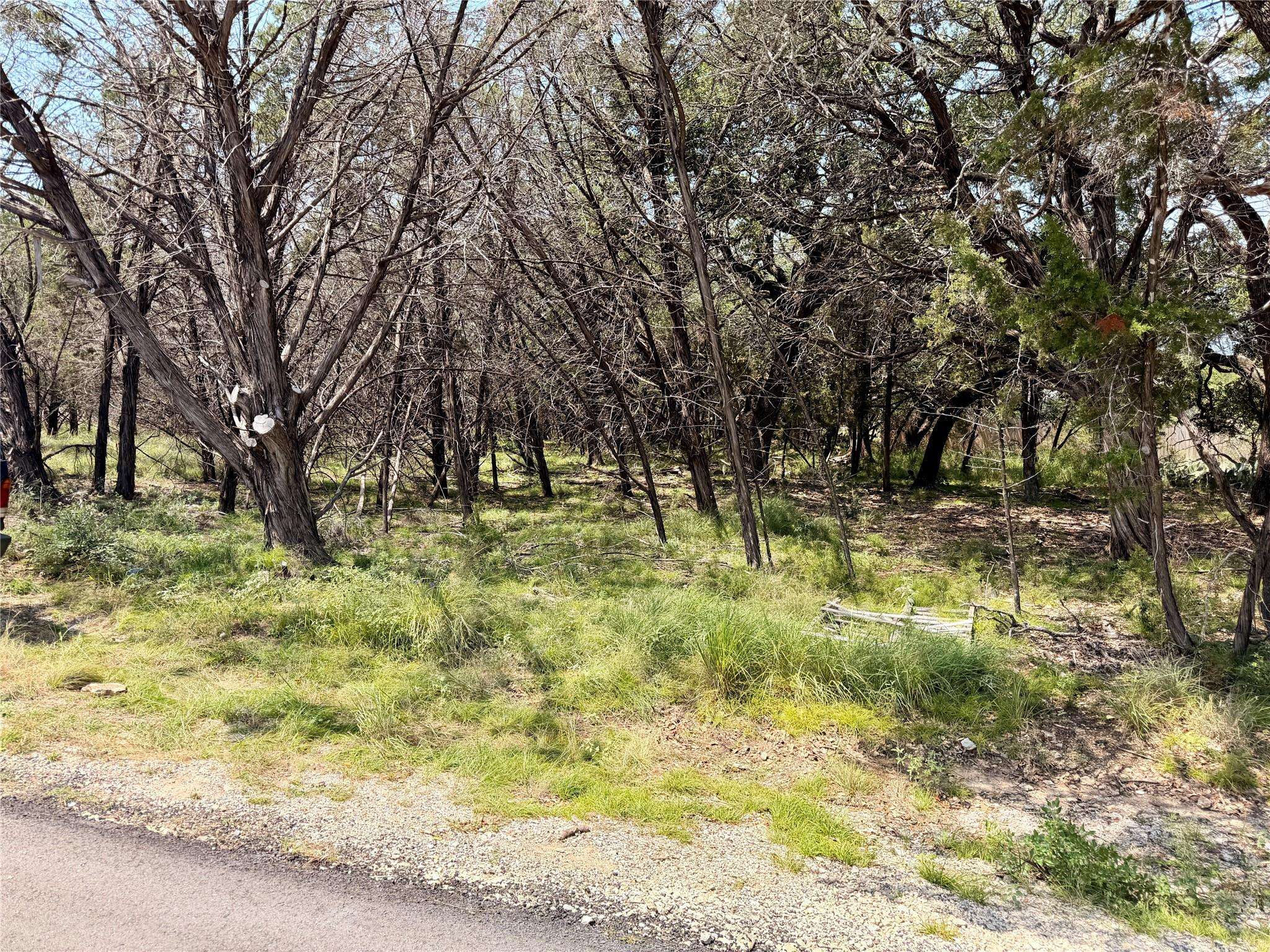 21807 O'Henry Ave, Lago Vista, TX 78645