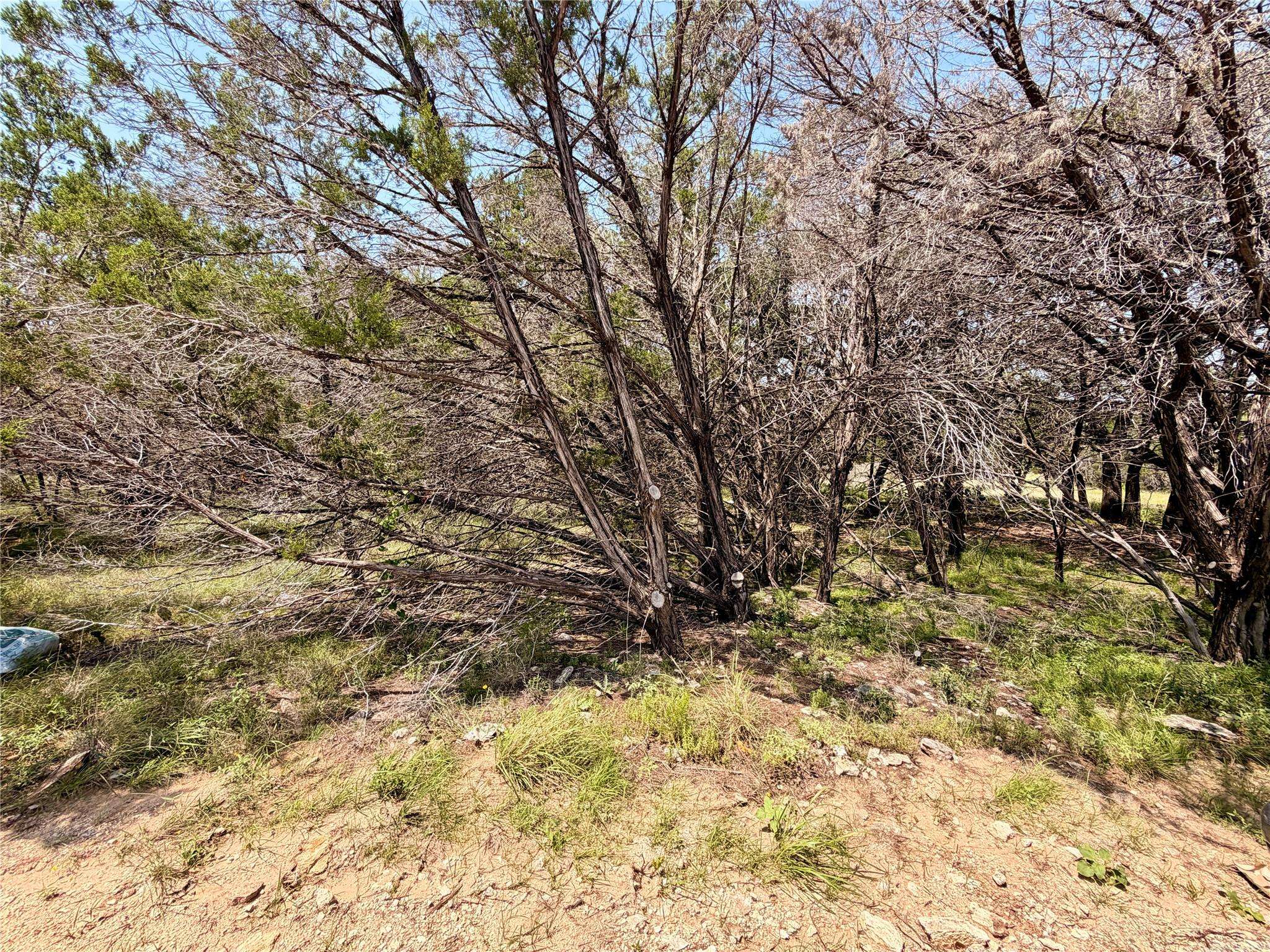 21807 O'Henry Ave, Lago Vista, TX 78645