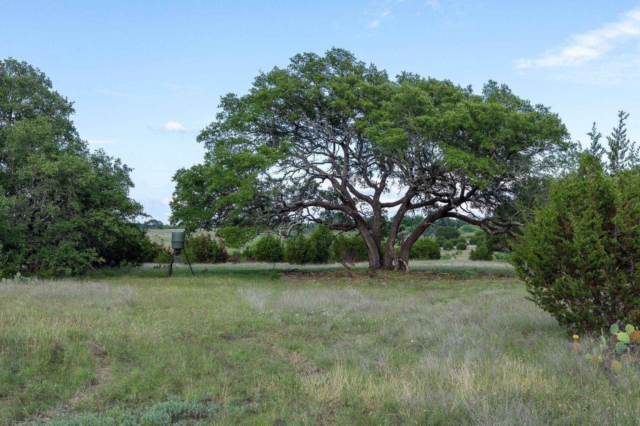 Lot 3 Bluestem LN, Lampasas, TX 76550