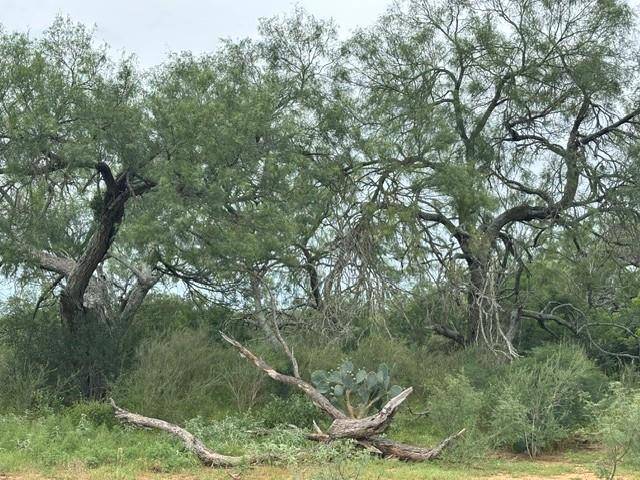 5394 FM 2200 RD W, Devine, TX 78016