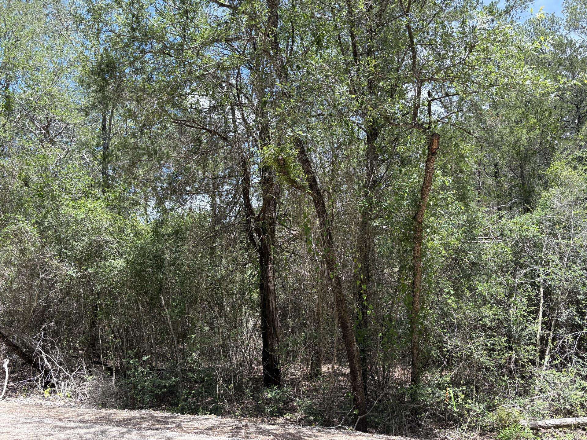 Lot 1228 & 1229 Hanauma DR, Bastrop, TX 78602